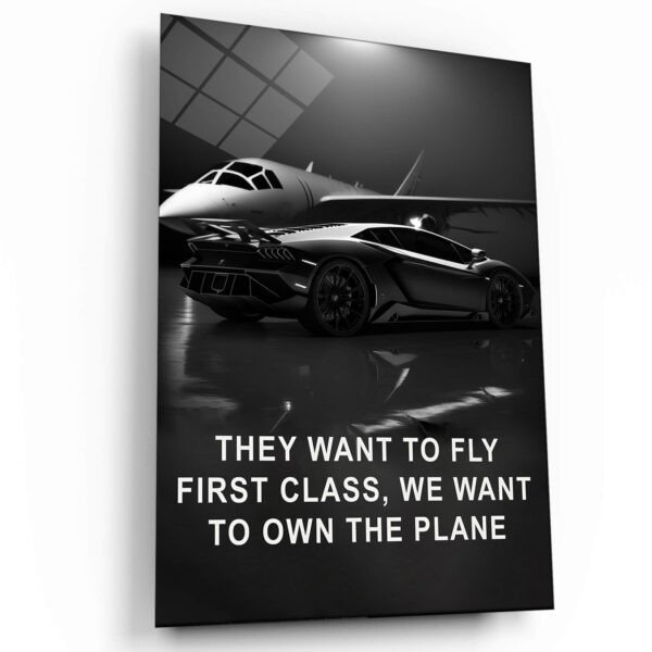 WE WONT TO OWN THE PLANE